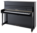 The Blüthner Model C,118 cm + Loso Klavierschule Band 1,2 und 3 mit DVD oder Online-Zugang