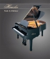 Haessler -Grand Pianos from 175 to 210 cm