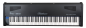 Blüthner PRO-88 EX: Portables e-Klavier + Loso Klavierschule Band 1 mit DVD oder Onlinezugang