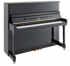 Irmler P 118 - black polished + Loso Klavierschule Band 1,2 und 3 mit DVD oder Online-Zugang